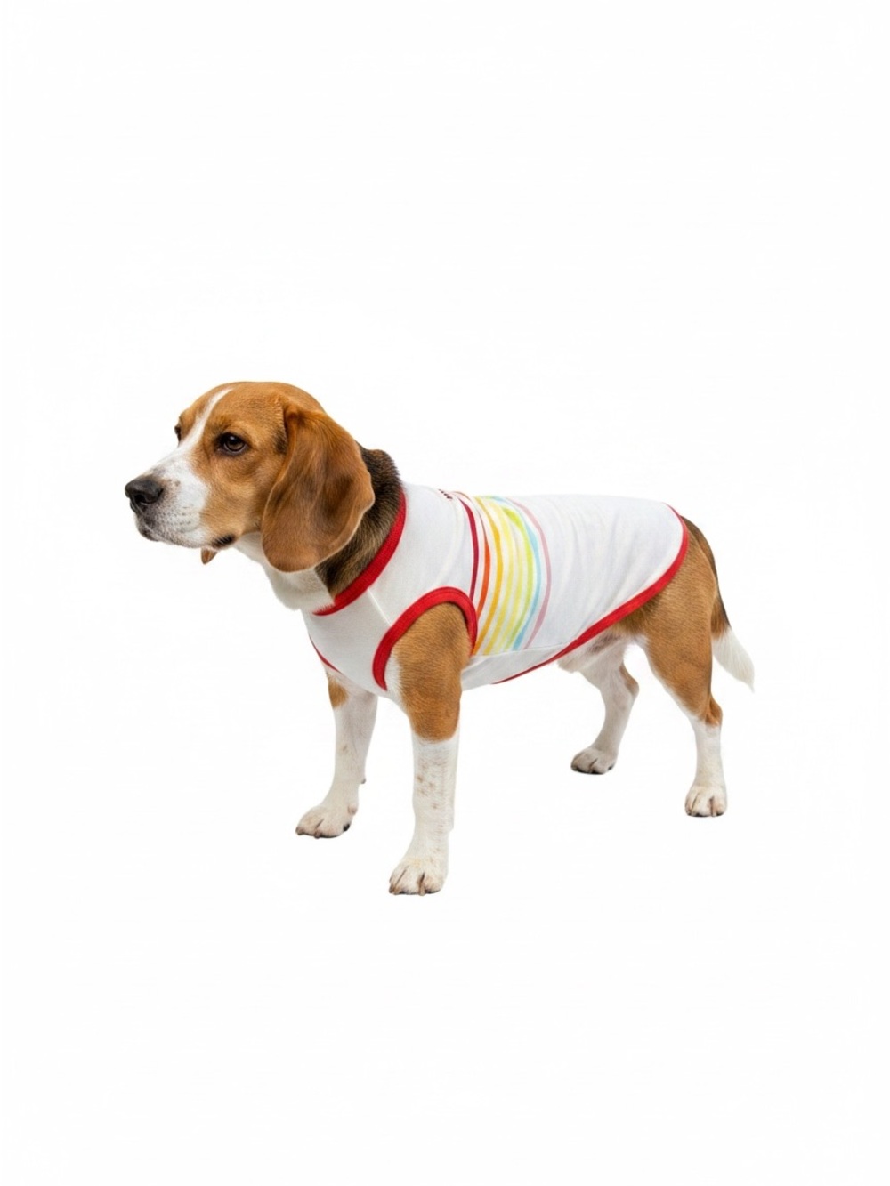 White & Red Striped Rainbow Accent Dog Tank Top ‘pride’